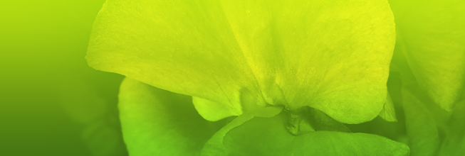 在线DDOS攻击平台